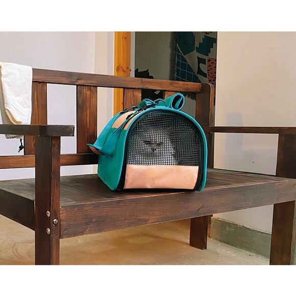 Pet Cat Dog Colorful Fashion Carrier - Picture 6 of 14